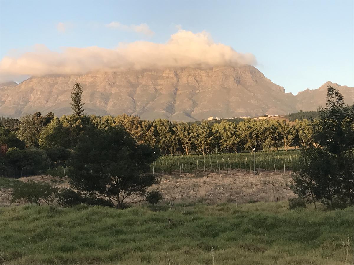 At Home In Mostertsdrift Stellenbosch Buitenkant foto